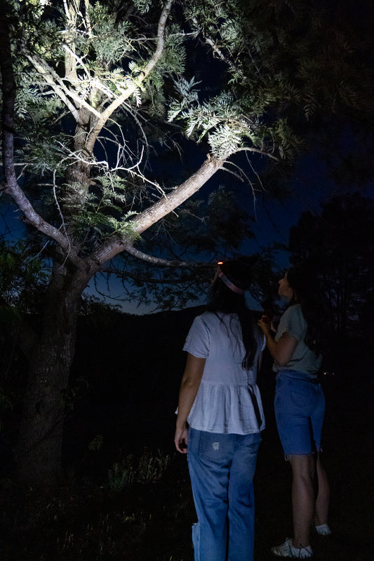 Oztrail Lumos R700 Spotlight