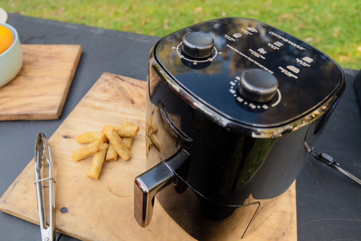 Companion Roam 4L Air Fryer