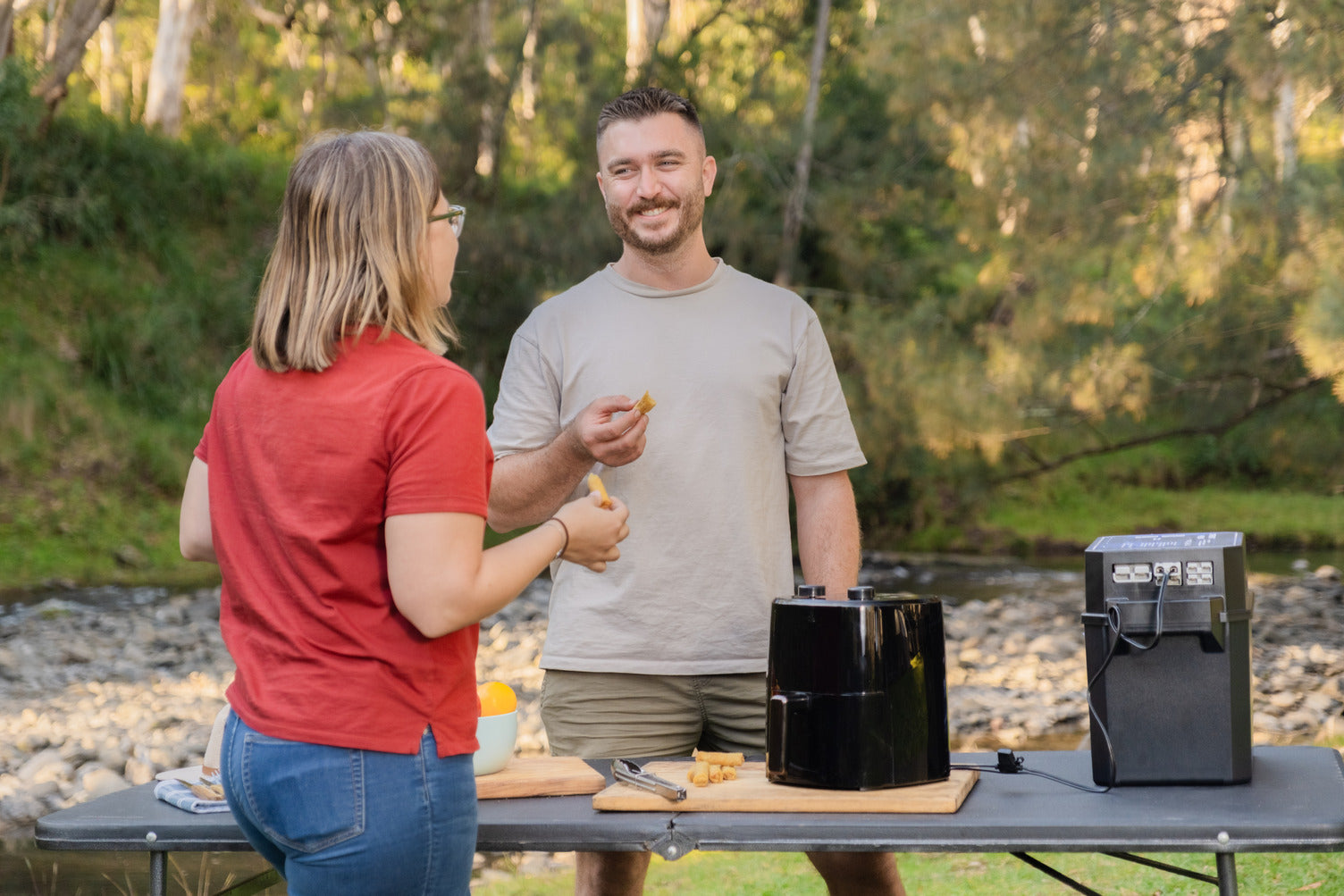 Companion Roam 4L Air Fryer