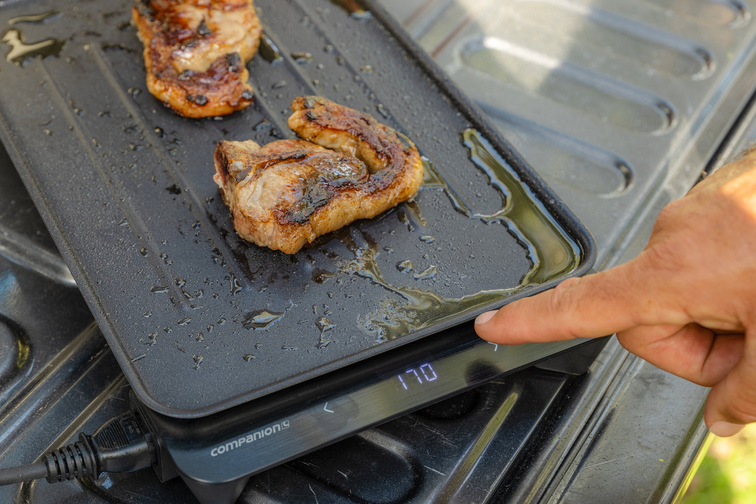 Companion Roam Swift Sear BBQ