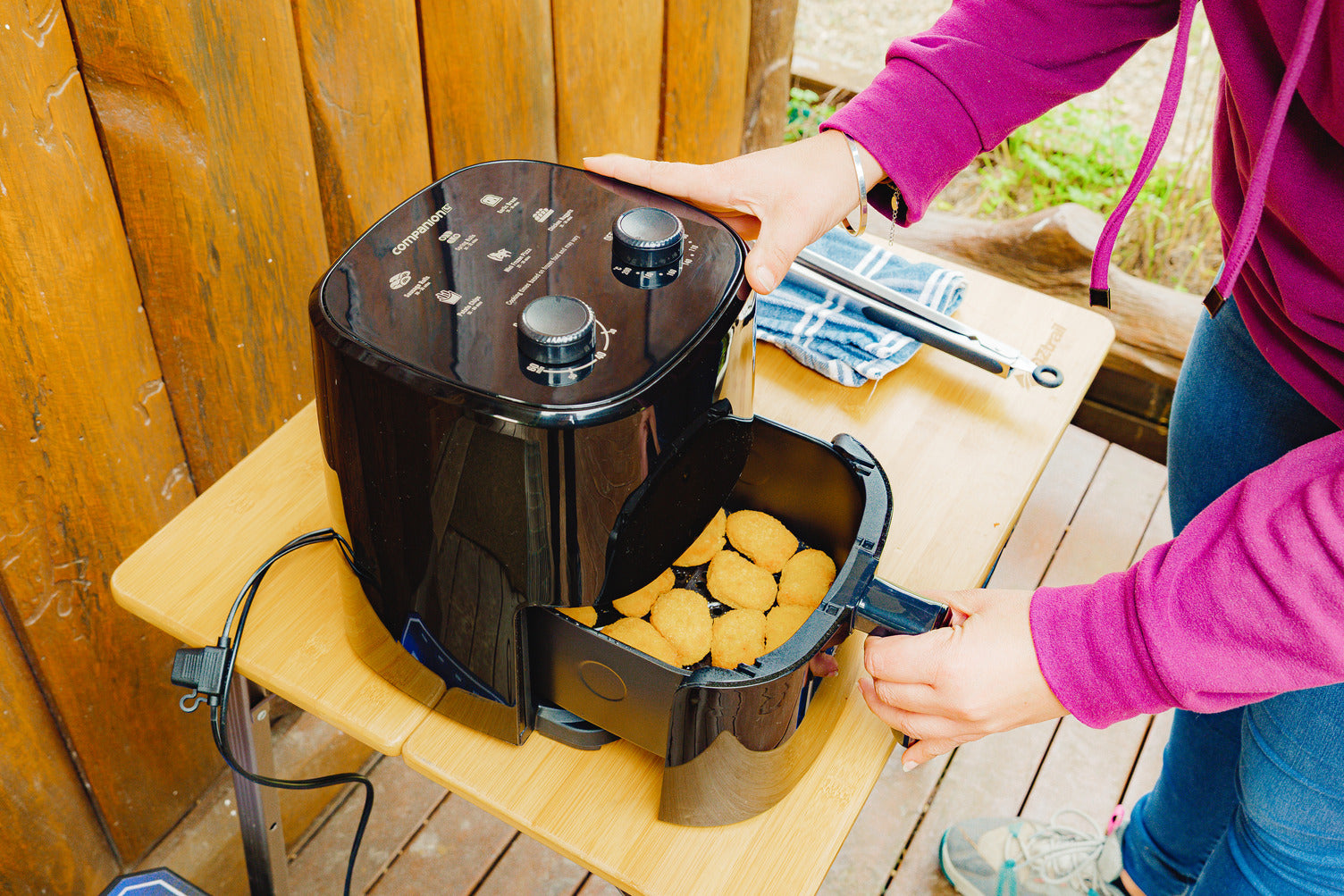 Companion Roam 4L Air Fryer