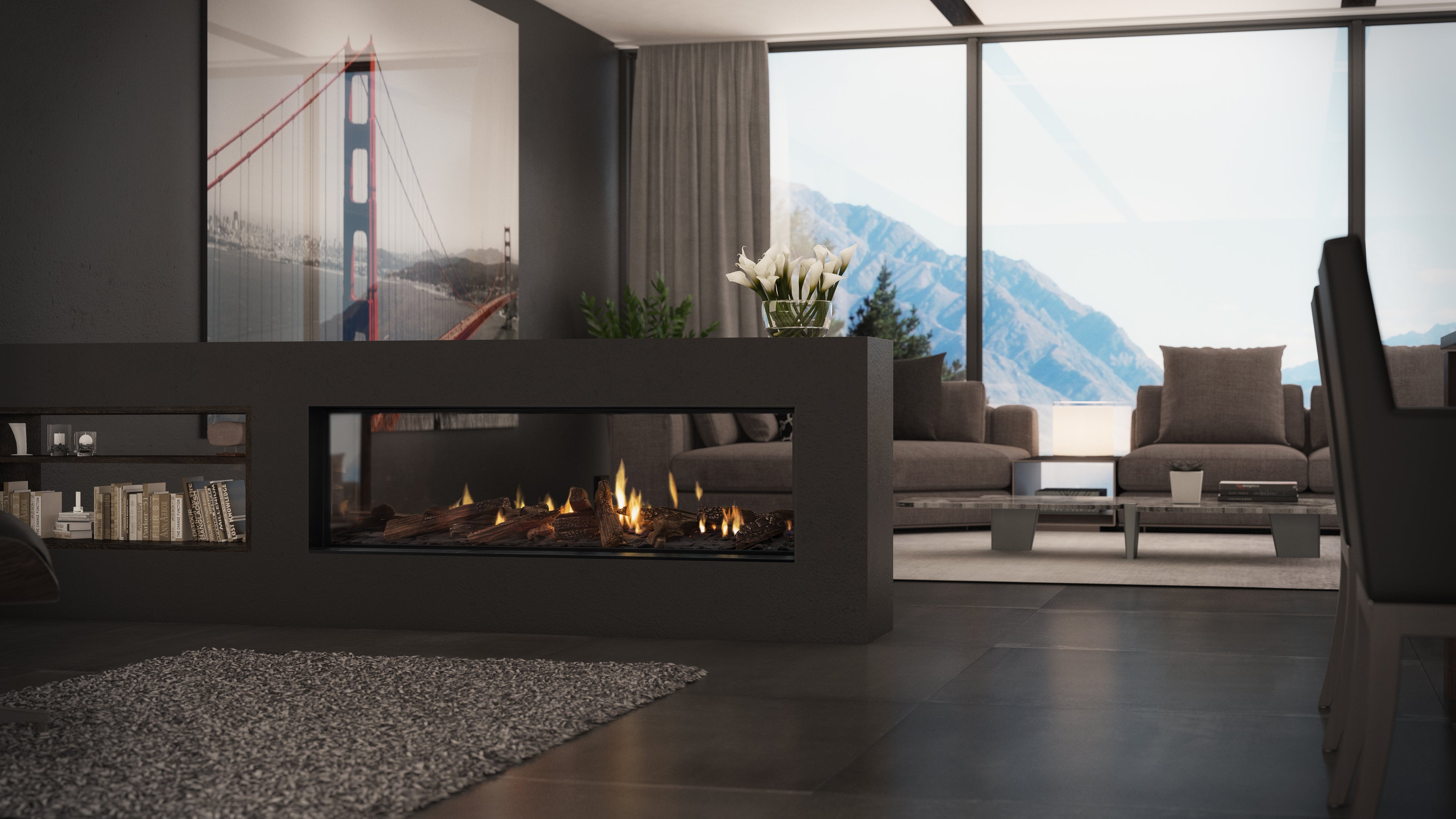 Escea DS Single Sided Range - Frameless Gas Insert Fireplace