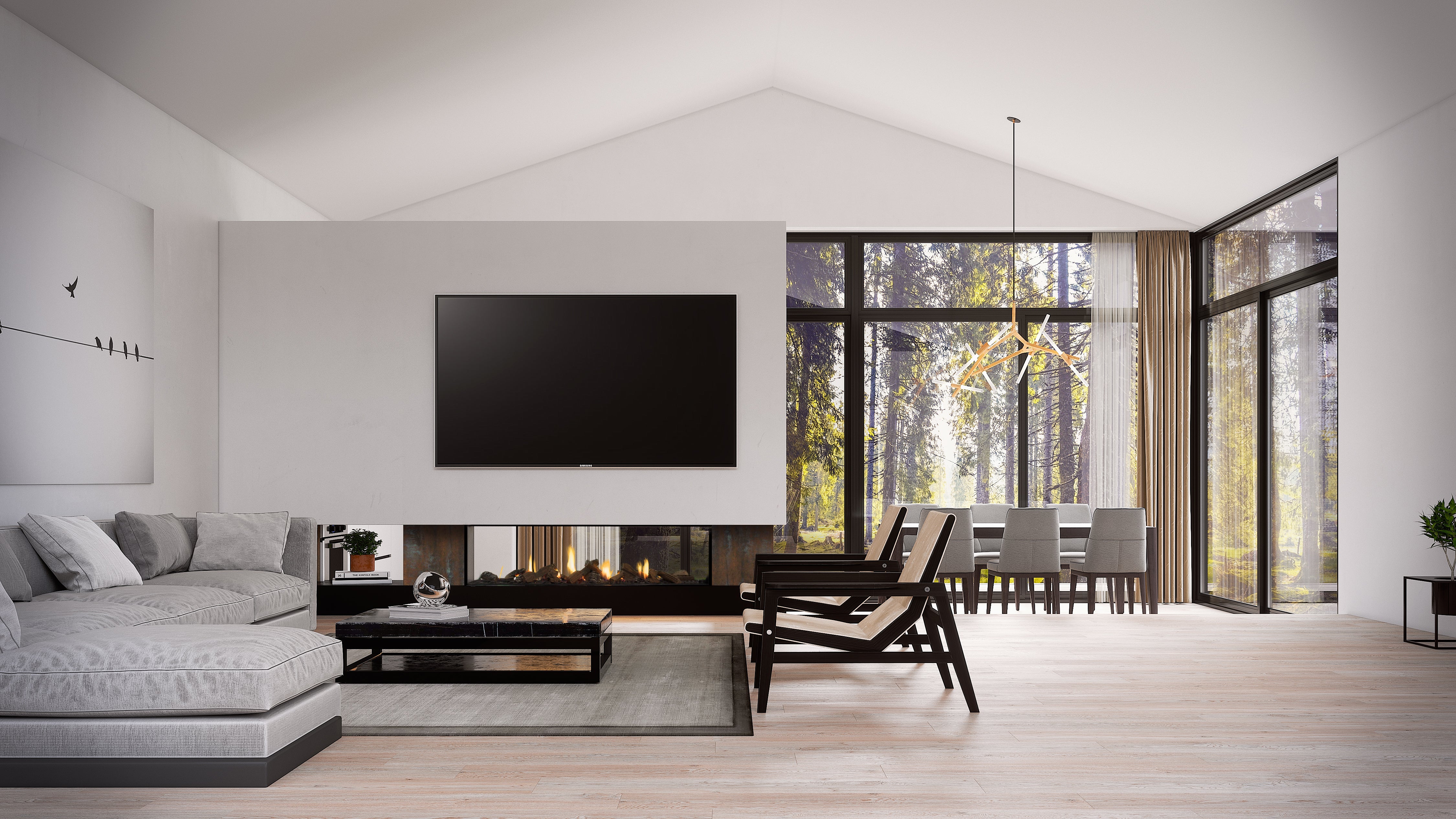 Escea DS Single Sided Range - Frameless Gas Insert Fireplace