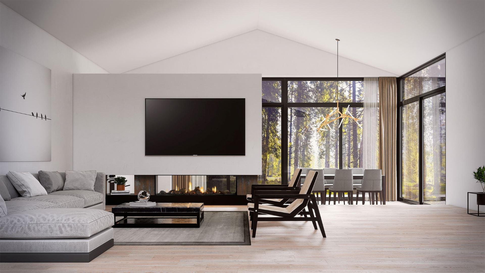 Escea DS Single Sided Range - Frameless Gas Insert Fireplace