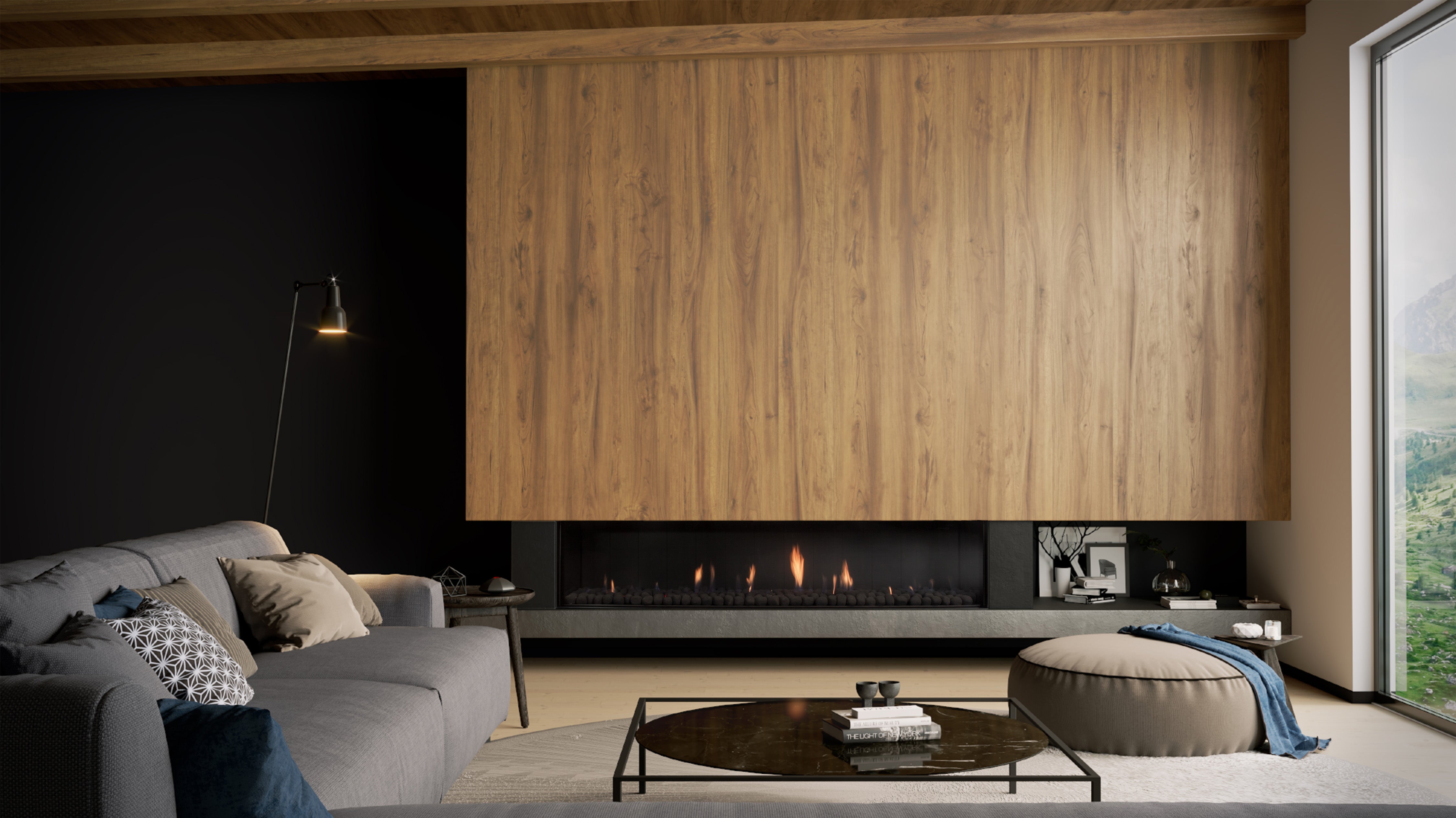 Escea DS Single Sided Range - Frameless Gas Insert Fireplace