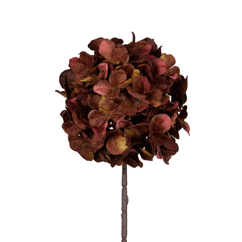 Autumnal Hydrangea Stem
