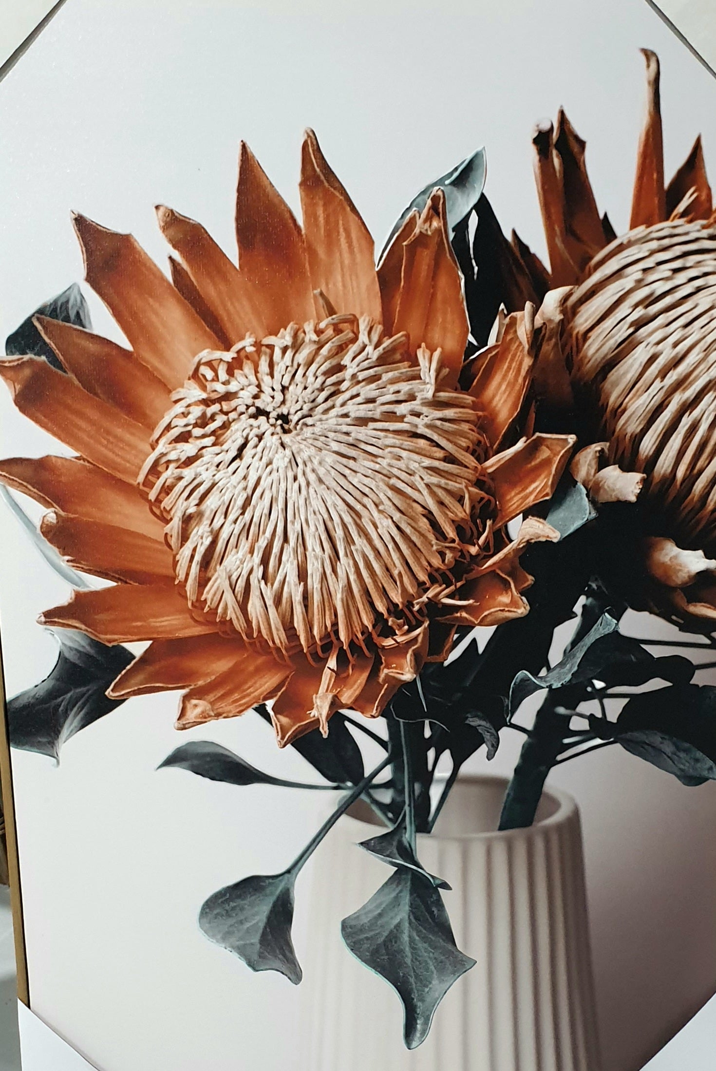 Heidi Protea Canvas