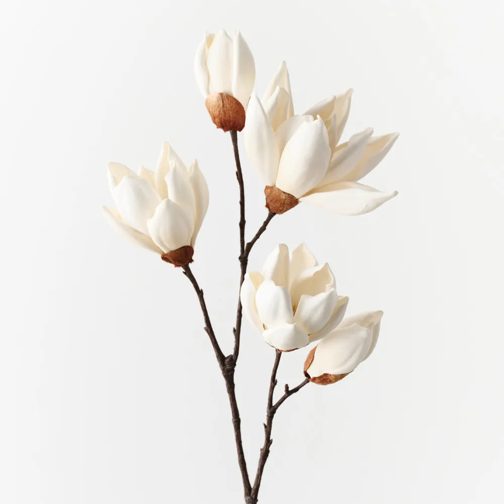 Magnolia Japanese Spray Ivory