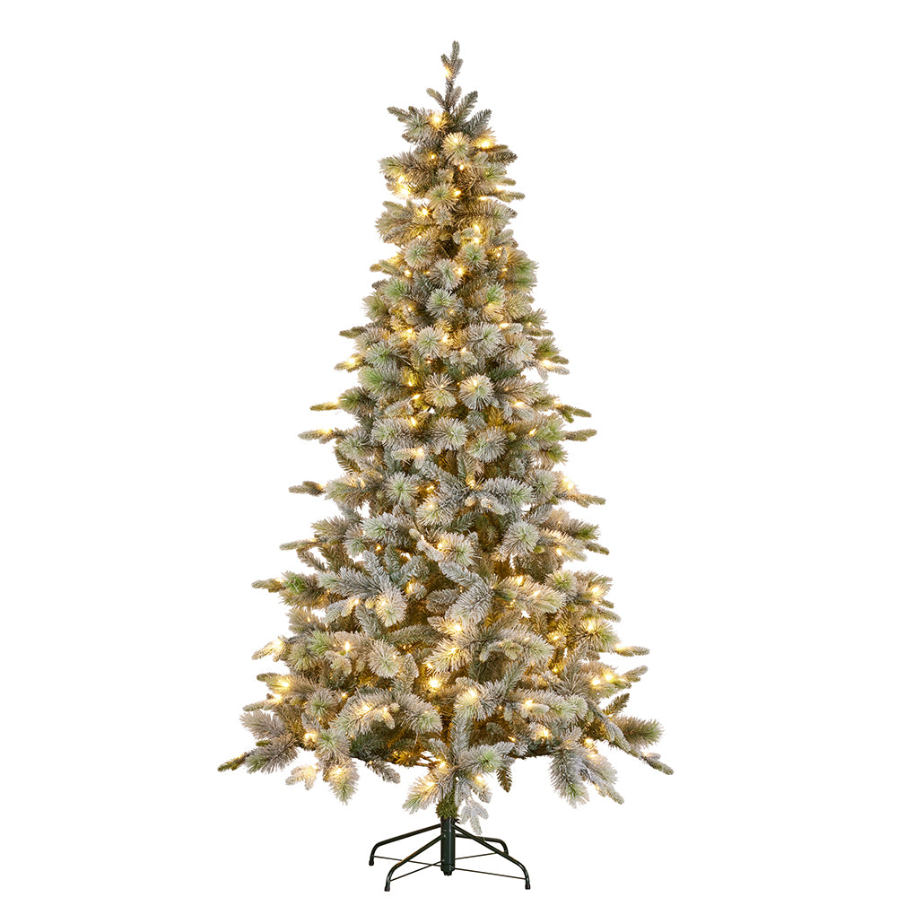 Tree with Lights Snowy Stamford Spruce