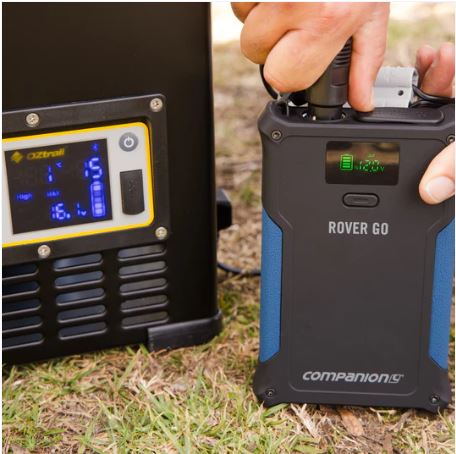 Companion Rover Go