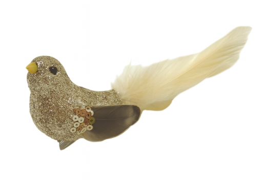 Clip On Bird Champagne Coral