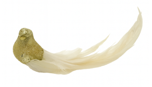 Clip On Bird Gold Cream