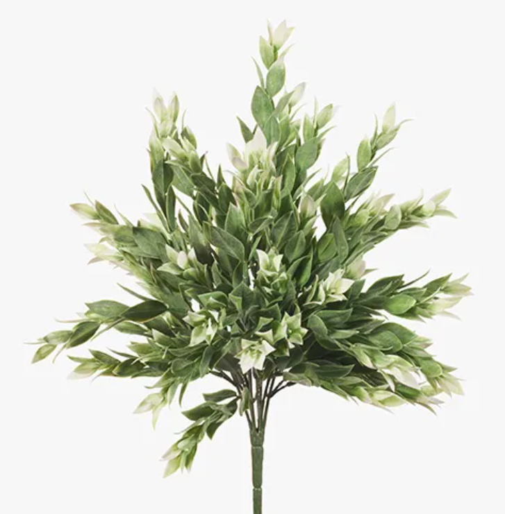 Ruscus Spray