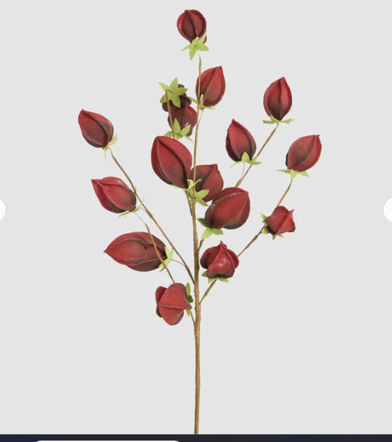 Flower Stem DarkRed