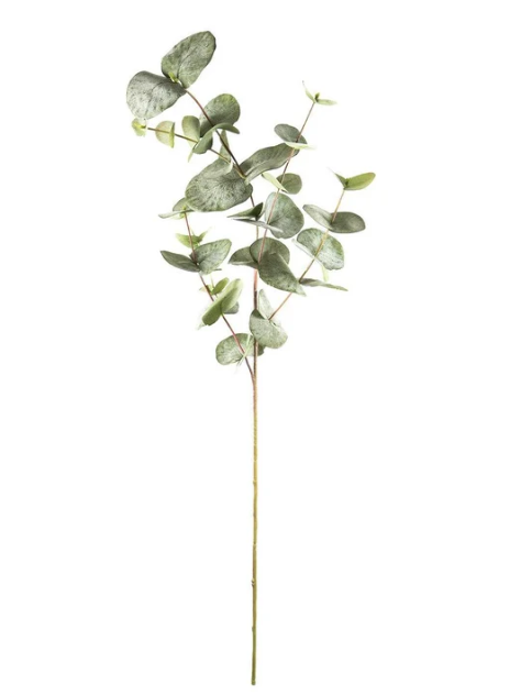 Eucalyptus Spray Mixed Leaves 87cm