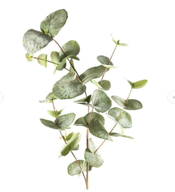 Eucalyptus Spray Mixed Leaves 87cm