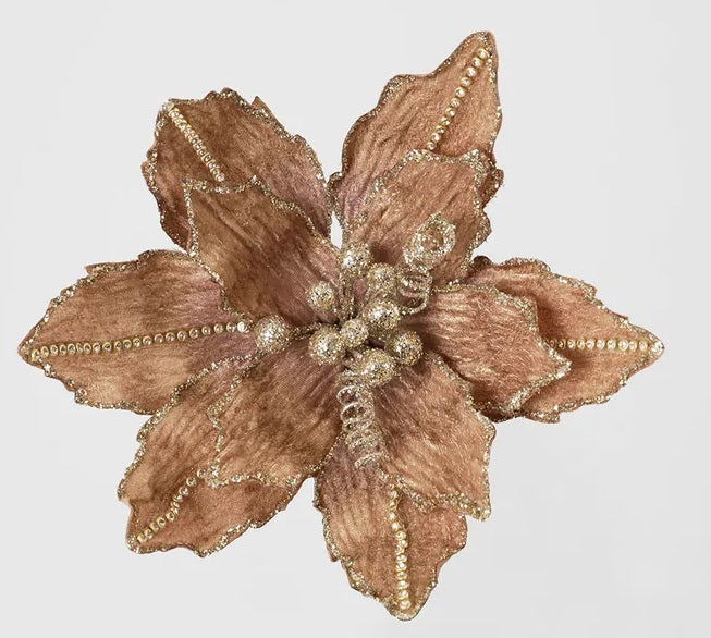 Velvet Crystal Clip on Pointesttia