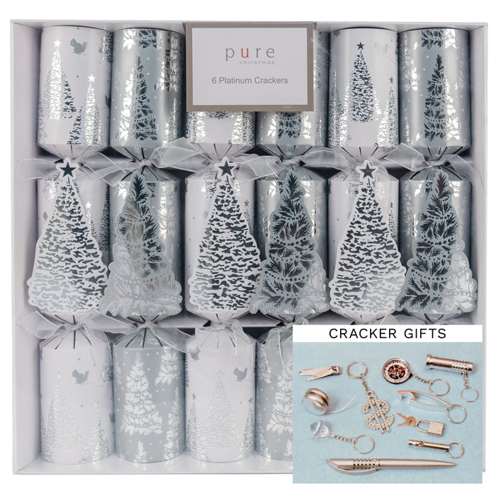 Platinum Cracker BX 6 White/ Silver