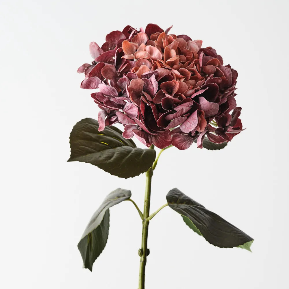Hydrangea Burgandy/Rust