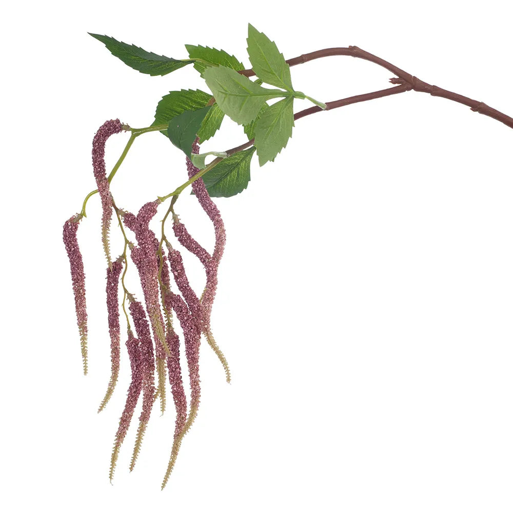 Amaranthus Spray - Pink