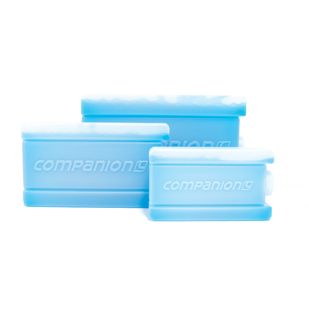 Companion Ice Brick Small -150ML