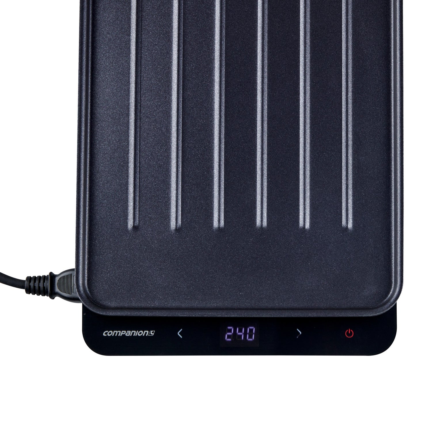 Companion Roam Swift Sear BBQ