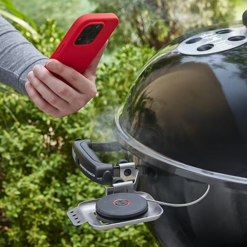 Weber Smart Probe & Grate Sensor