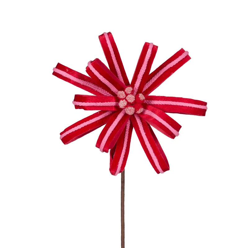 Curly Pink & Red Loop Poinsettia