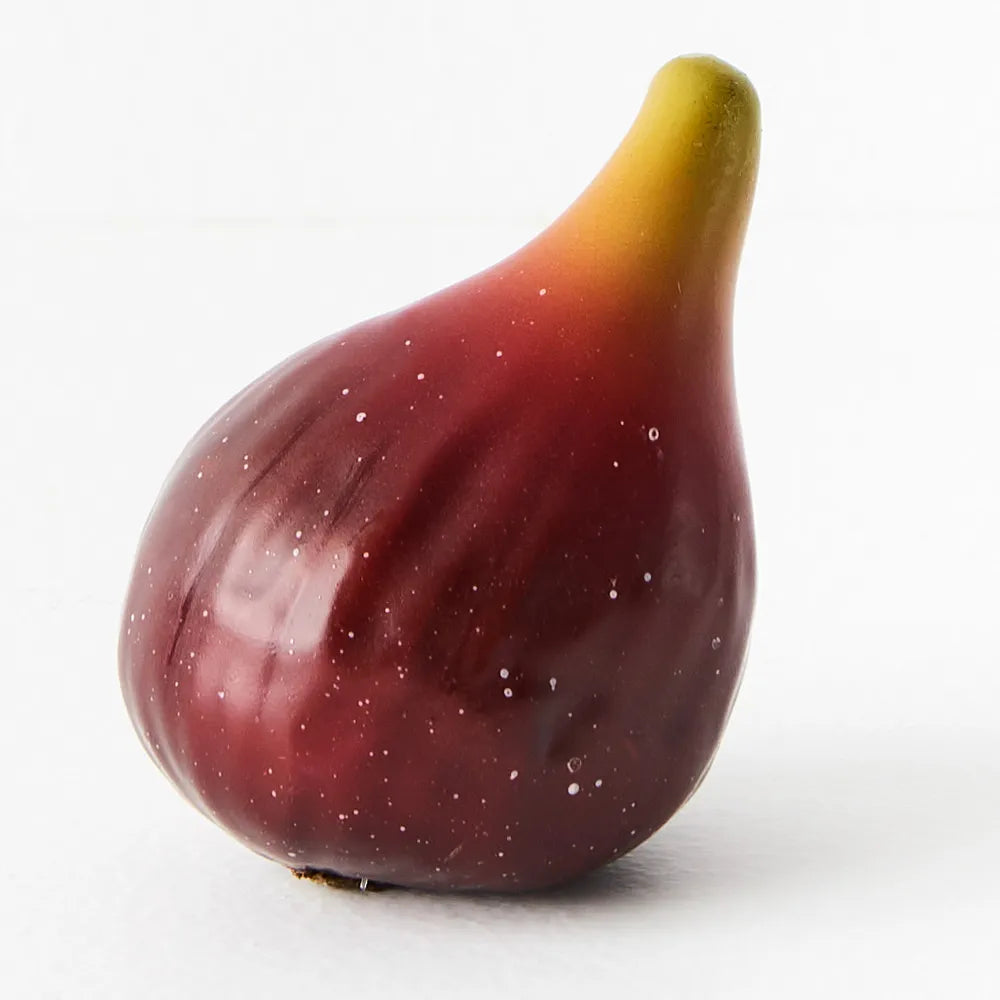 Fig