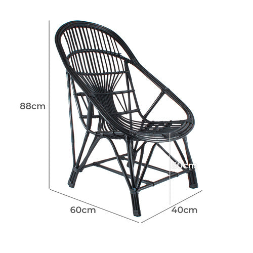 Wilkes Cane Chair Black