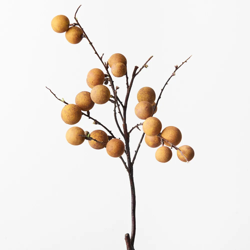 Longan Spray- 48 cm