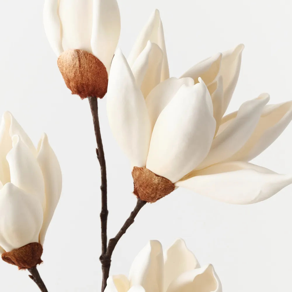 Magnolia Japanese Spray Ivory
