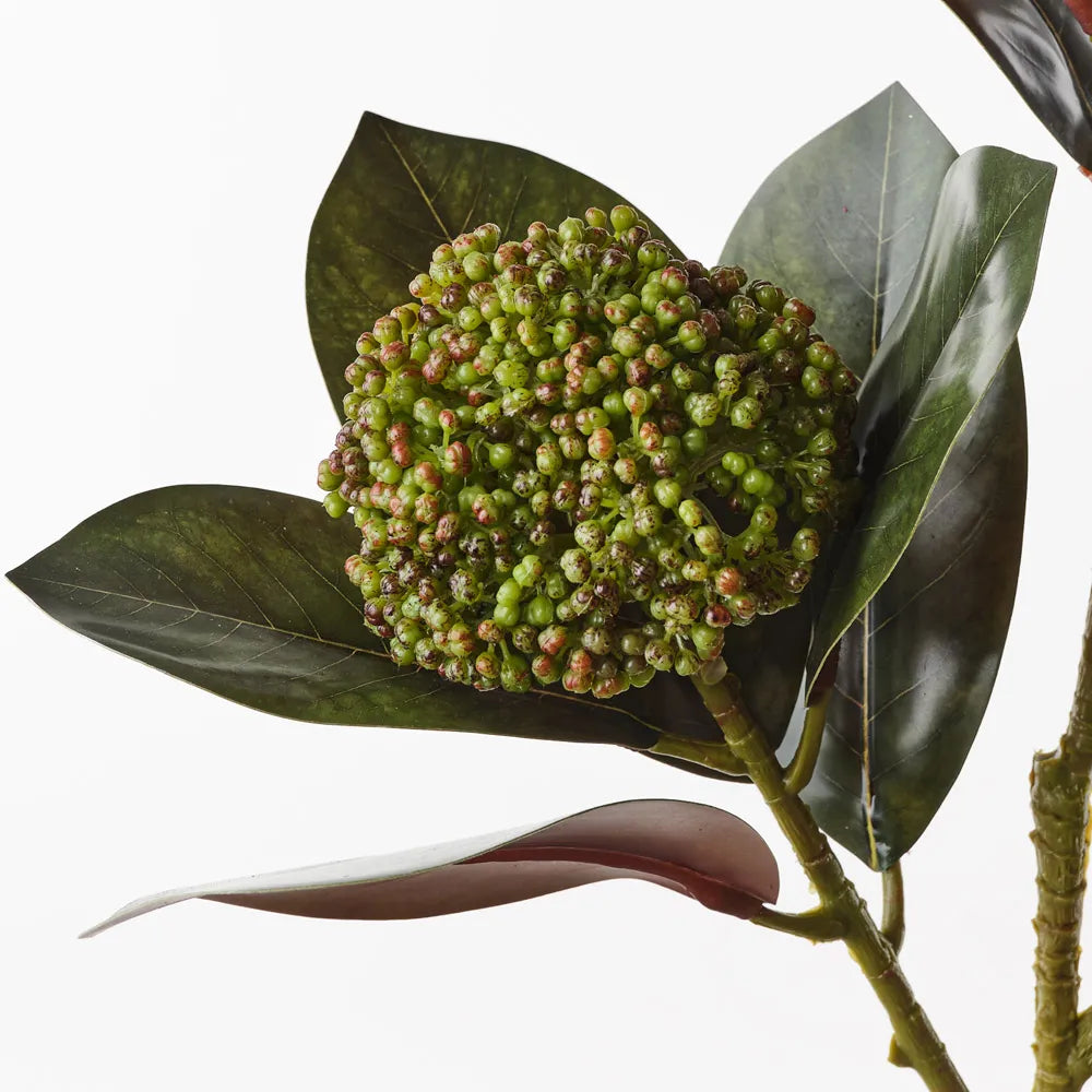 Magnolia Leaf Seed Spray