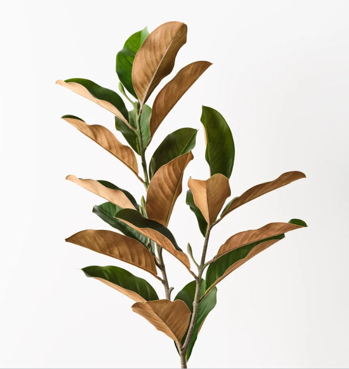 FI Magnolia Leaf Spray 110cm
