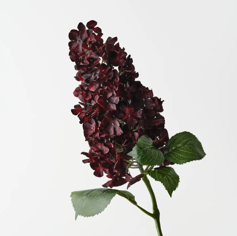 FI Hydranga Cone 91cm Burgundy