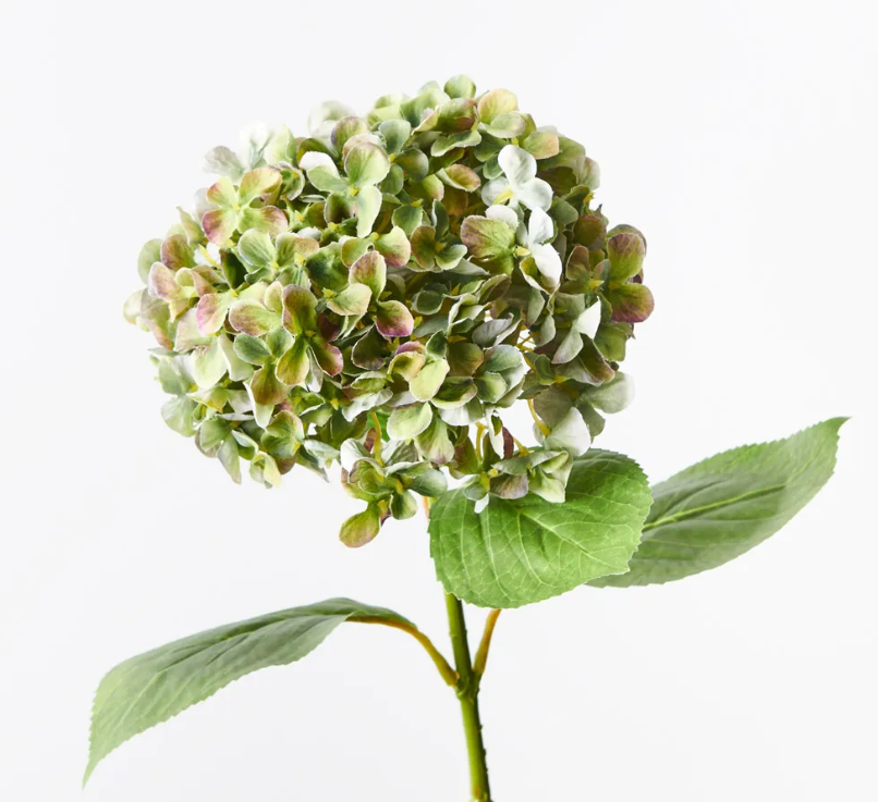 FI Hydrangea Green Purple 68cm