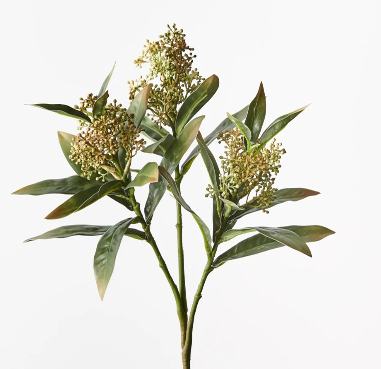 FI SKIMMIA SPRAY GREEN/YELLOW 46CM
