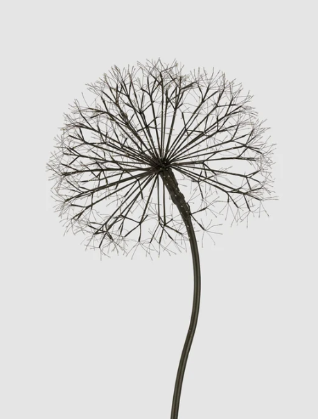 Lumi Light Up Dandelion 210cm