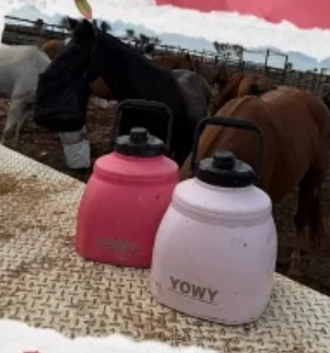 YOWY 3L Watercan Desert Rose