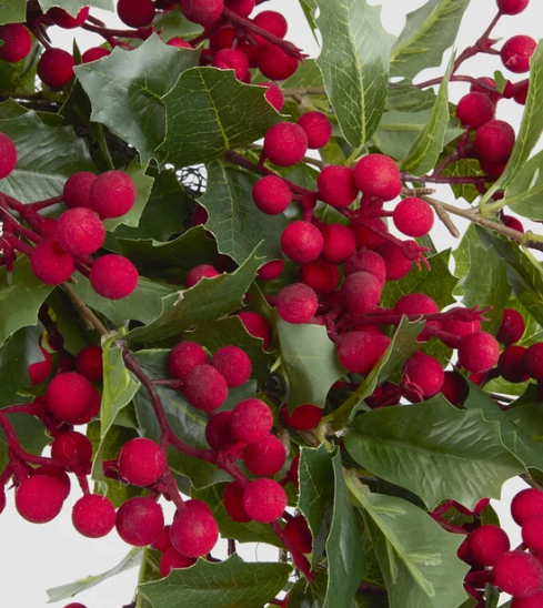 Holly Verdant Leaf Wreath 75cm