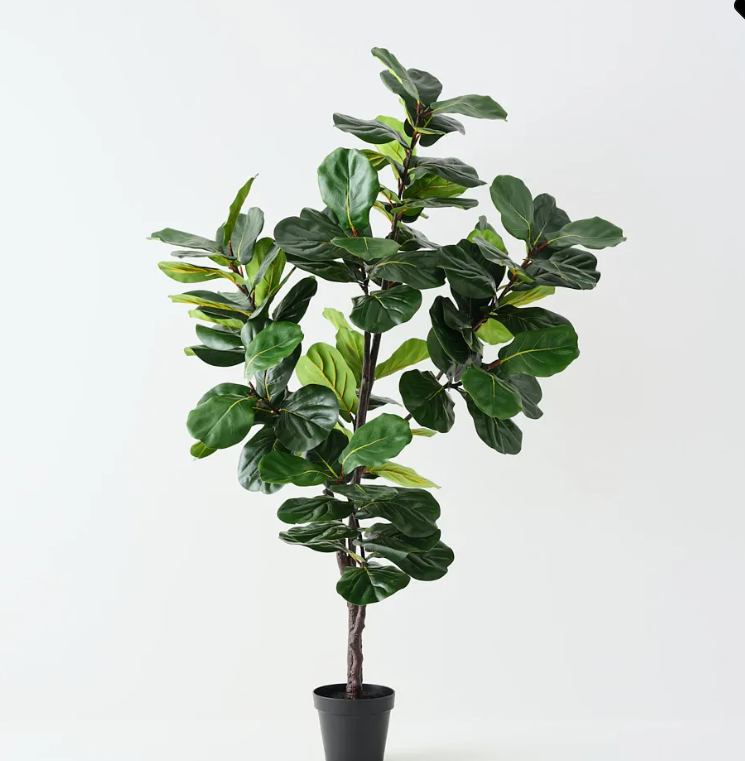 FI Fiddle Leaf Tree Green 210cm