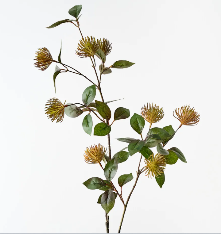 Protea Leucospermum Spray RUST 101cm
