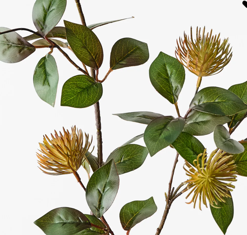 Protea Leucospermum Spray RUST 101cm