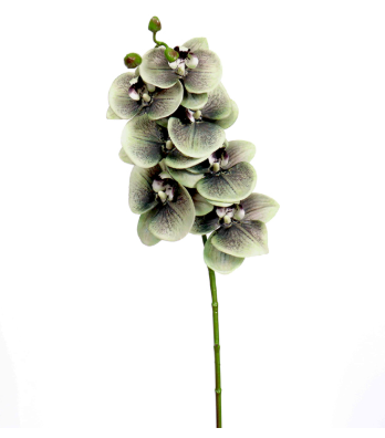 Sophia Soft Touch Orchid Stem Sage