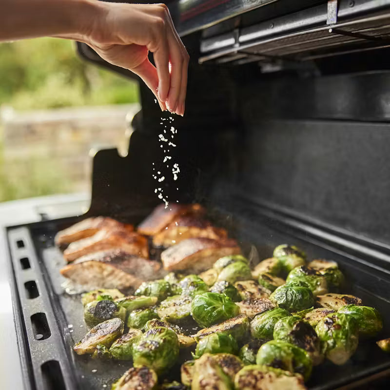 Weber Summit FS38 (NG)