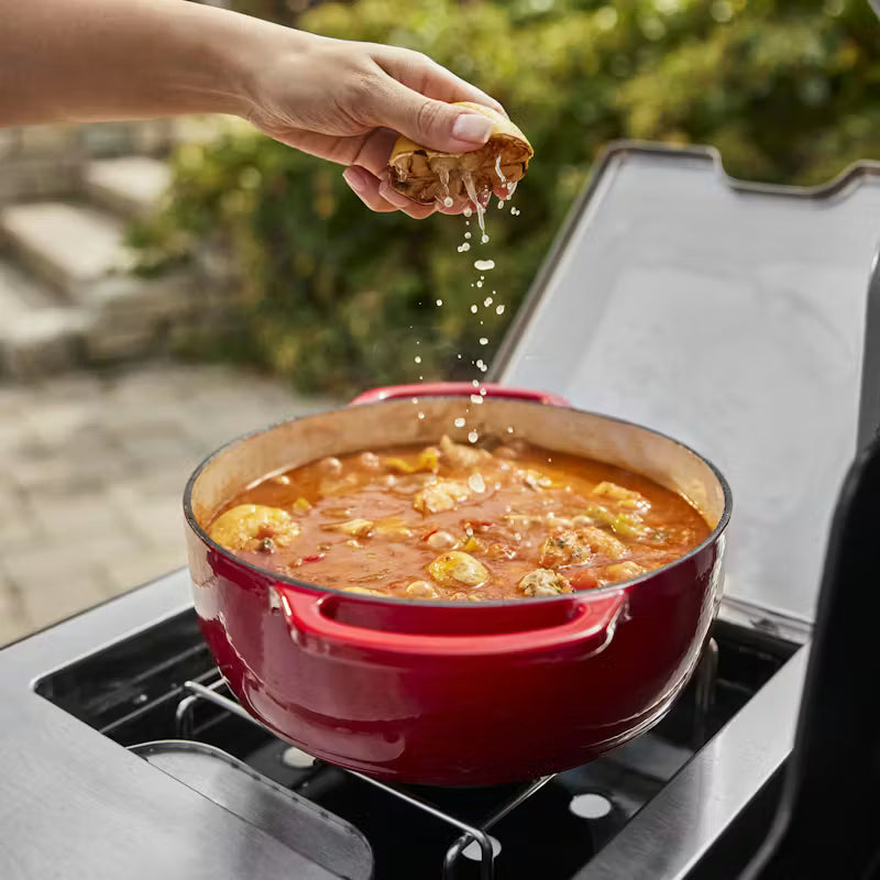 Weber Summit FS38 (NG)