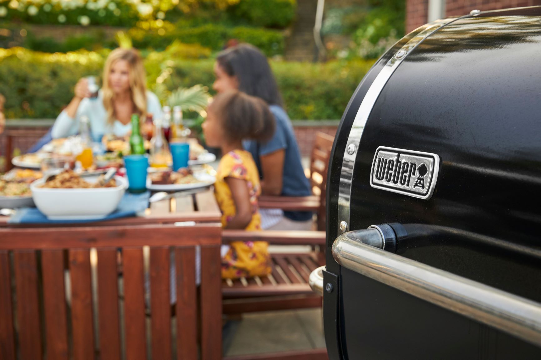 Weber Smokefire EX6