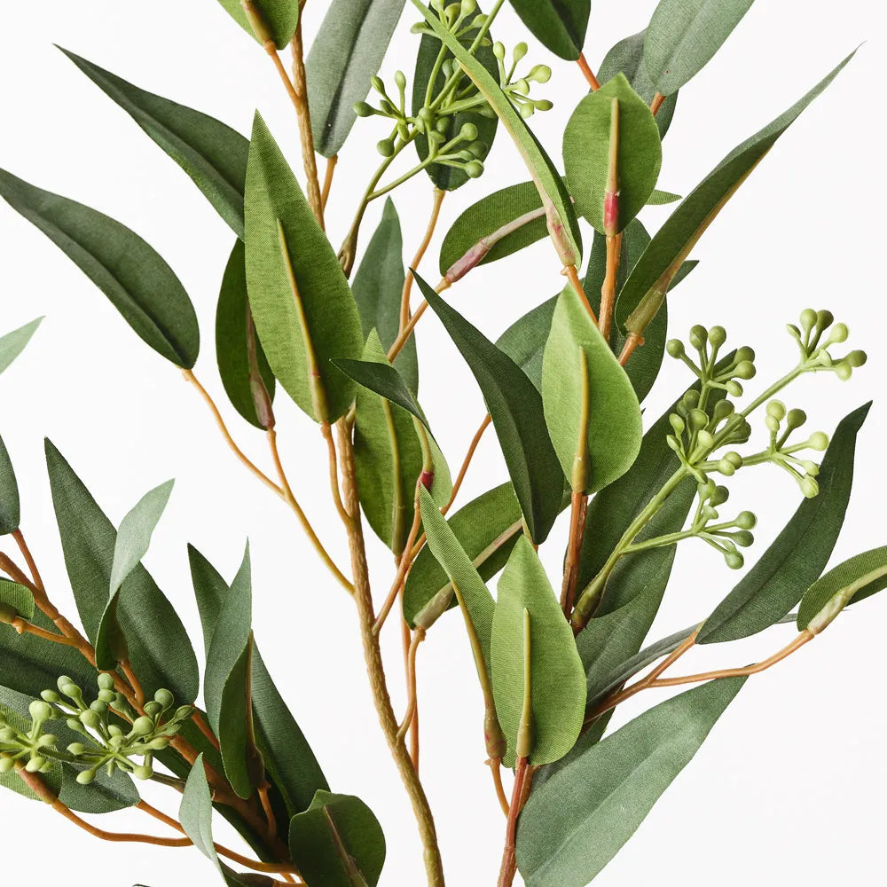 Willow Seed Spray Green