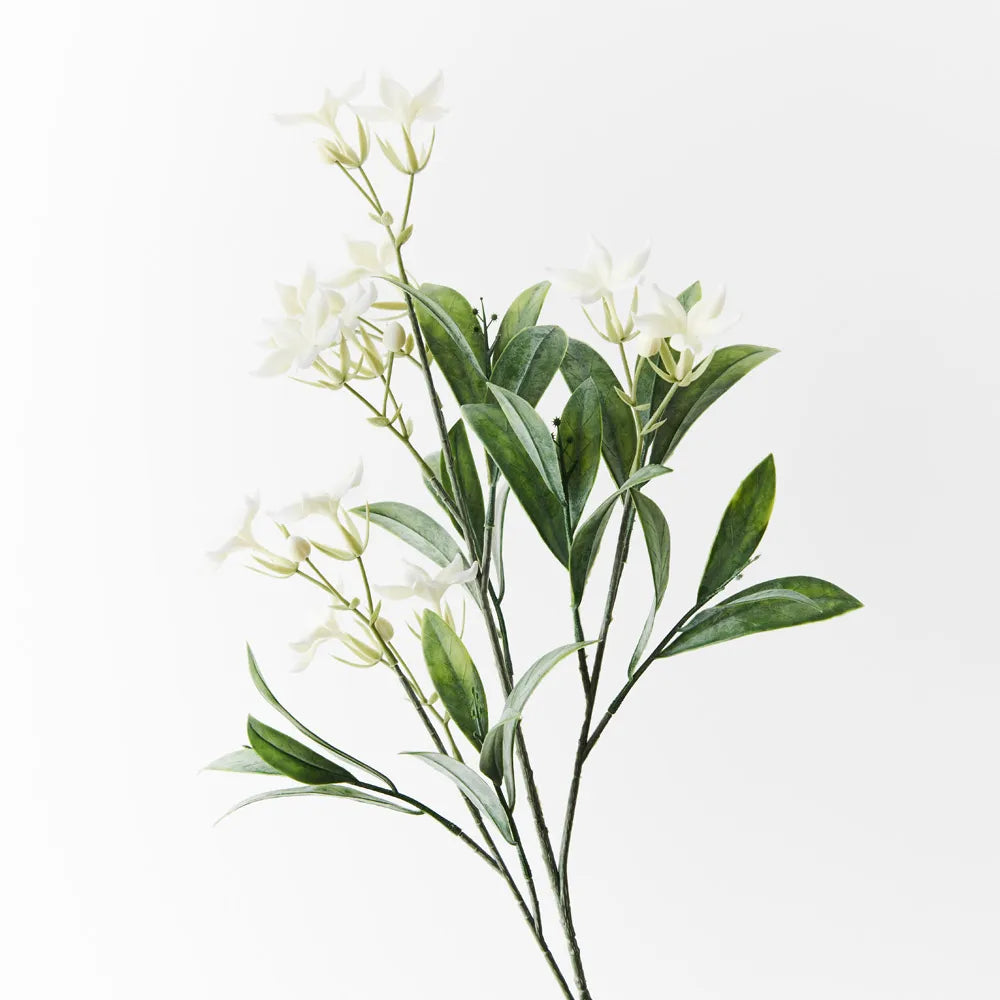 Stephanotis Spray White