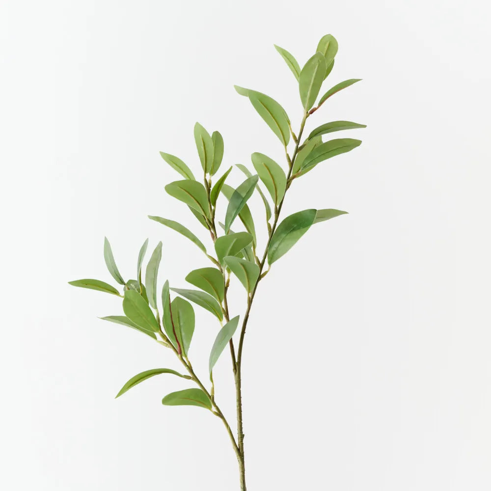 Pittosporum Leaf Spray - Green